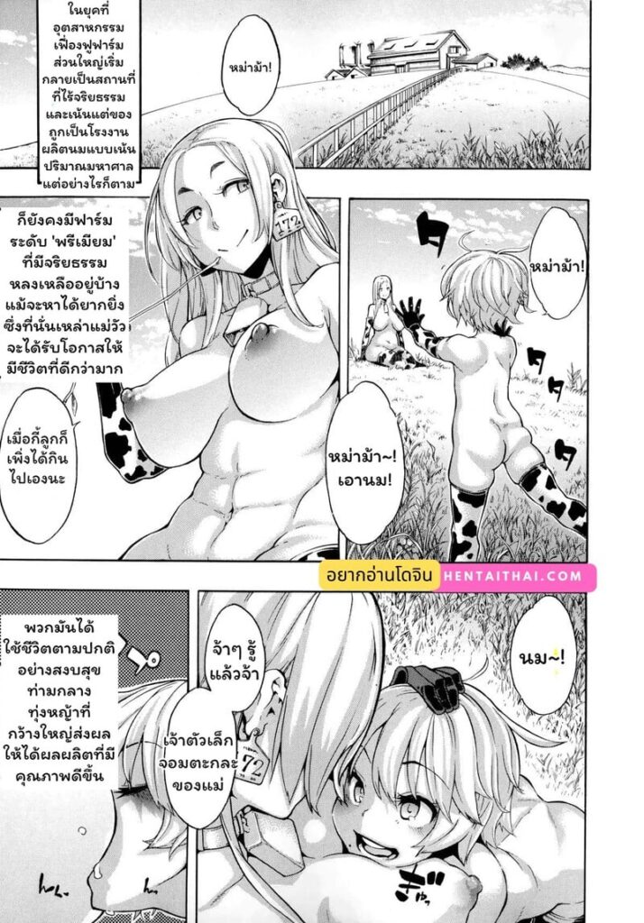 ชีวิตวัวสาว : ผสมพันธุ์ ท้อง และคลอดลูกวัว [Premium Edition]